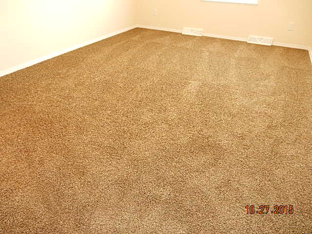 suede carpet option.jpg